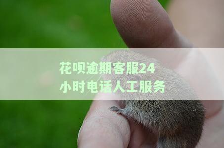 花呗逾期客服打电话会有什么后果吗，花呗逾期：客服电话的后果是什么？
