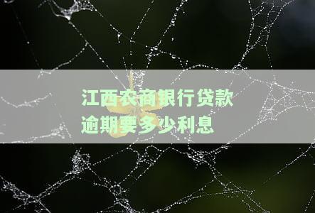 农商贷款逾期多久会 影响 征信 报告 记录？