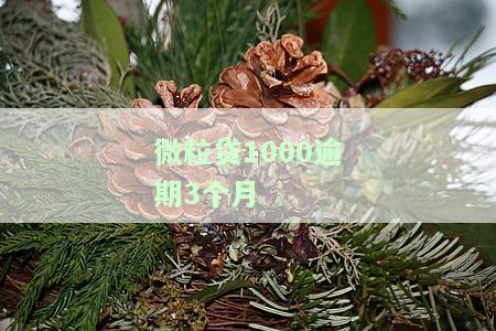 微粒贷逾期三个月欠款一万七会被起诉吗，微粒贷逾期三个月，欠款一万七是否会被起诉？