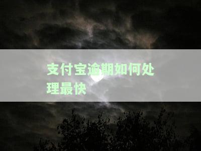支付宝逾期处理全攻略：消除逾期记录与解决征信问题