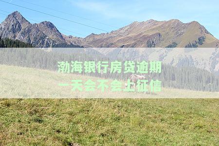 渤海银行房贷逾期一天会不会上征信报告，渤海银行房贷逾期一天会否影响征信记录？