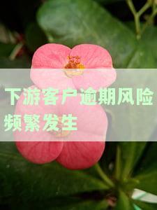 下游客户集中的风险，应对下游客户集中风险：策略与措