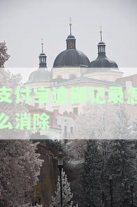 支付宝逾期记录怎么消除完，「支付宝逾期记录怎么消除」？这里有详细步骤！