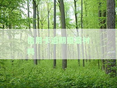 信用卡逾期报案，信用卡逾期未还，该怎样向警方报案？