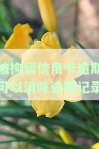 被刑事拘留信用卡逾期，因刑事拘留而忽视信用卡还款，导致逾期问题应如何解决？