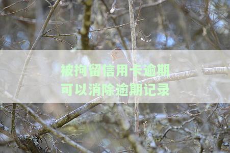 被拘留信用卡逾期可以消除逾期记录