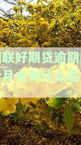 招联好期贷逾期两个月会有何后果？知乎讨论解析