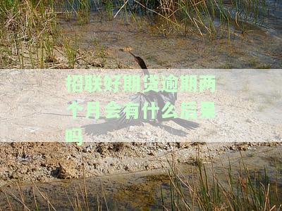 招联好期贷逾期两个月会有什么后果吗-招联好期贷逾期两个月会有什么后果吗