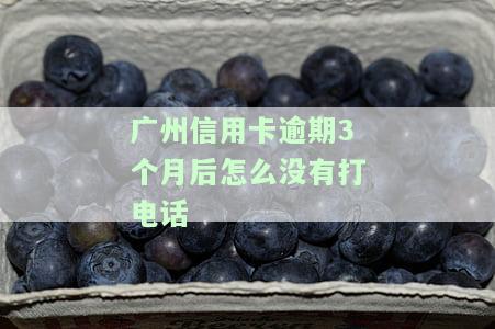 州信用卡逾期3个月未接到通知，是否需要主动联系银行?