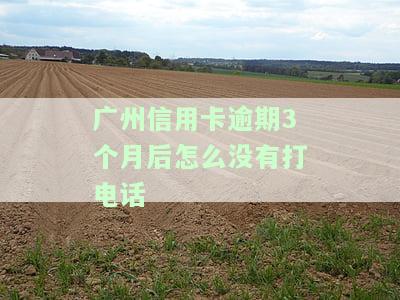 为什么信用卡逾期三个月后很少催收电话，揭秘：为何信用卡逾期三个月后催收电话骤减？