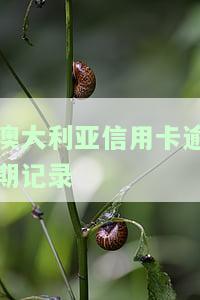 如何查询澳大利亚信用卡逾期记录？