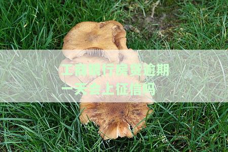 中国工商银行房贷逾期一天会上征信吗，中国工商银行房贷逾期一天是否会影响个人信用记录？