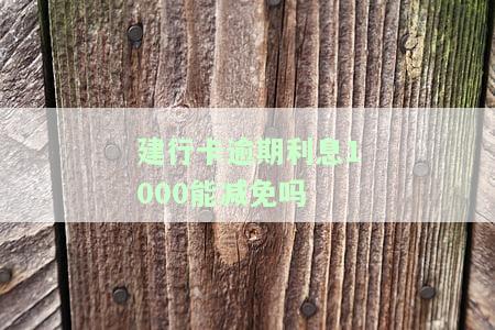 建行透支卡逾期利息计算方法及金额全解析