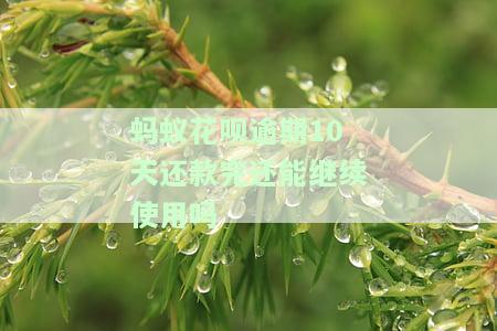 蚂蚁花呗逾期10天还款完还能继续使用吗，蚂蚁花呗逾期10天后还款，能否继续正常使用？