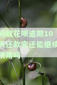 蚂蚁花呗逾期10天还款完还能继续使用吗-蚂蚁花呗逾期10天还款完还能继续使用吗