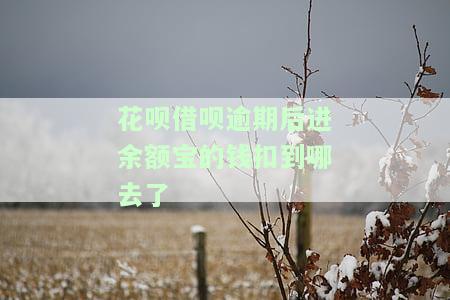 花呗借呗逾期后进余额宝的钱扣到哪去了-花呗借呗逾期后进余额宝的钱扣到哪去了呢