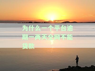 就一个逾期其他平台都过不了，逾期一次，其他平台贷款申请通通被拒！