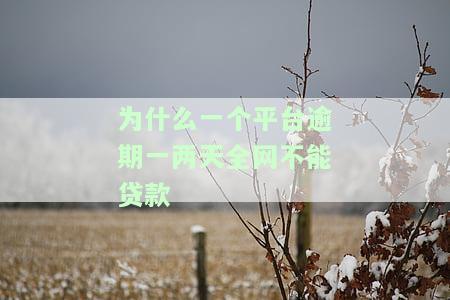 如果一个平台逾期了在其他平台还可以续借吗，逾期还款会影响在其他平台的借款吗？