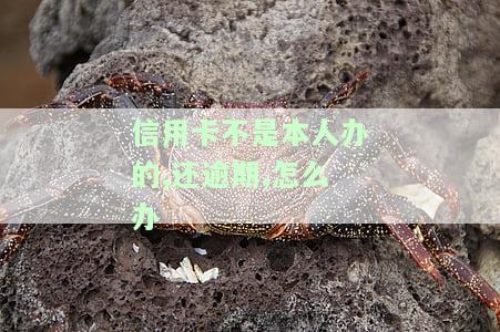 不是本人的信用卡可以还款吗，他人信用卡能否用于还款？答案揭晓！