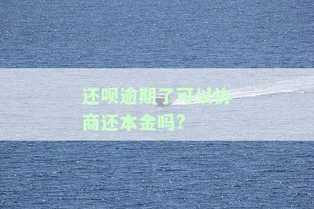 还呗逾期了可以协商还本金吗?-还呗逾期了可以协商还本金吗
