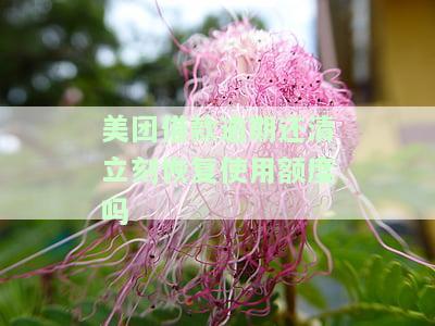 美团借款逾期还清立刻恢复使用额度吗是真的吗，美团借款：逾期还款后立即恢复额度吗？真相大揭秘！
