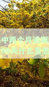 有两个月逾期,未达90天，能否担任担保人？解决方案