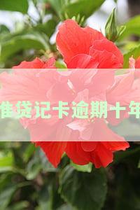 准贷记卡透支征信出现逾期1的原因及含义解析