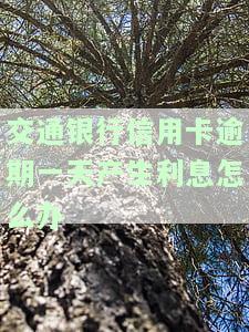 如何处理交通银行信用卡逾期一天产生的利息？解决方案在此！