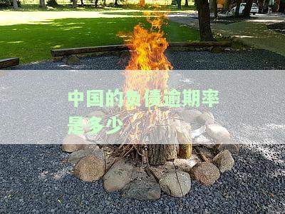 2021中国负债逾期人数统计：多少人未能按时偿还债务？