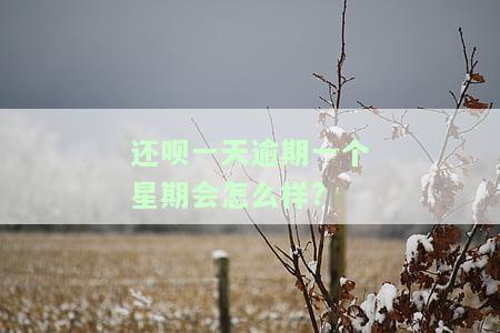 还呗逾期一周的影响：全面解析