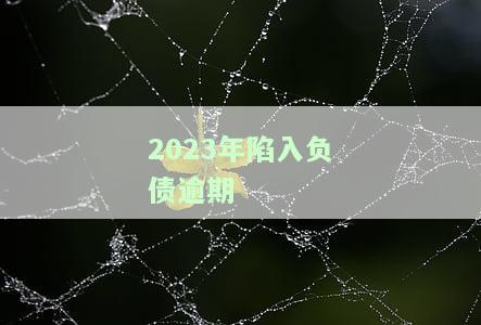 2023年陷入负债逾期：影响及应对策略