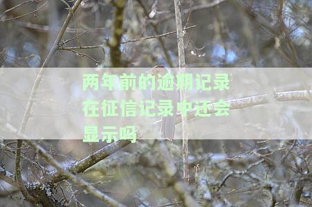 两年前的逾期记录在征信记录中还会显示吗