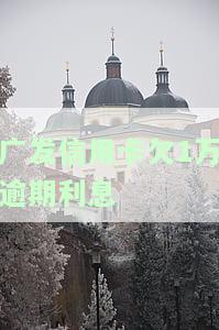 发信用卡10万逾期一年：利息多少？后果如何？