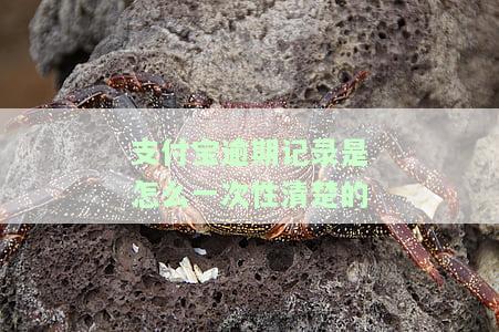 支付宝逾期如何结清及免除罚息申请全攻略