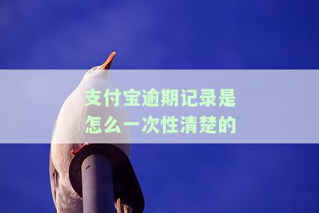 支付宝逾期记录是怎么一次性清楚的-支付宝逾期记录是怎么一次性清楚的呢