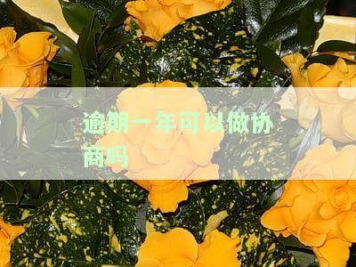 逾期一年是否可以协商？了解相关法律规定