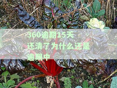 360逾期后还款，额度是否恢复？为何无法再次借款？