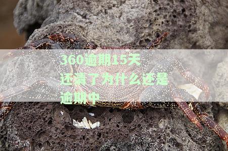 360逾期几天还款后多久能再次使用借呗？