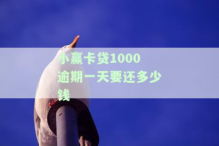 小赢卡贷1000逾期一天要还多少钱