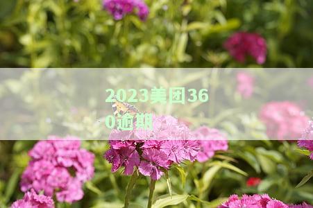 2021年美团逾期，2021年美团用户出现逾期情况，平台正积极处理
