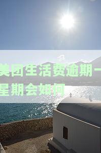 美团生活费逾期一星期会如何-美团生活费逾期一期后面会让我全额还款吗