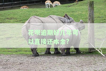 花呗逾期好几年可以直接还本金吗，如何处理花呗逾期：直接还本金可行吗？