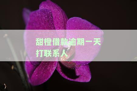 甜橙逾期半个月会爆通讯录吗，警惕！甜橙逾期半月，是否会爆通讯录？