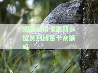 招商信用卡逾期会监测到蓄卡余额吗？安全风险需警惕！