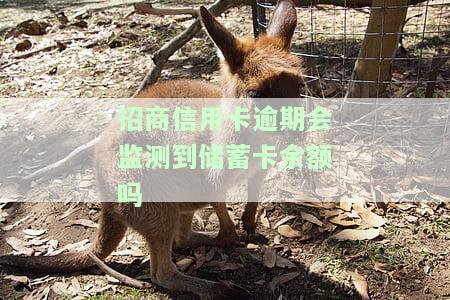 招商信用卡逾期会监测到蓄卡余额吗是真的吗，真相揭秘：招商信用卡逾期是否会被监测到蓄卡余额？