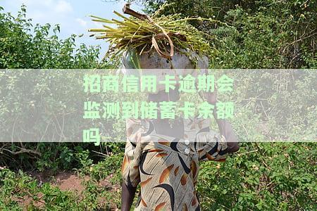 招商逾期会否影响其他银行？探讨相关风险与后果