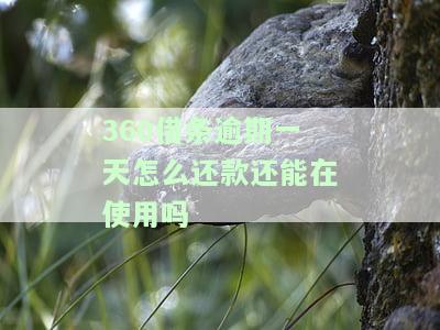 逾期一天还款了还能取出来吗，逾期一天还款后，能否成功取出资金？