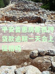 平安普房产抵押贷款逾期未还，可能面临哪些后果？