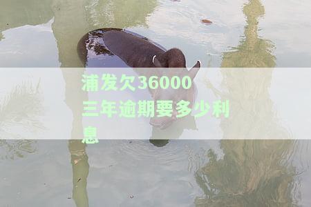 浦发欠款三年未还三万，是否会坐牢？可否协商分期还款？