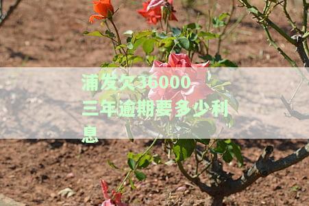 浦发银行贷款逾期三年，能协商还款吗？欠款八万能否分两年还？
